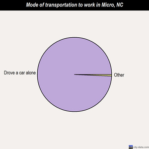 Micro mode of transportation to work chart