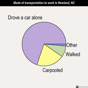 Newland mode of transportation to work chart