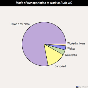 Ruth mode of transportation to work chart