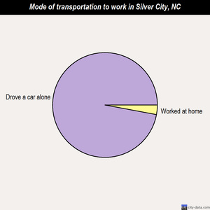 Silver City mode of transportation to work chart