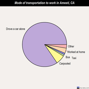Amesti mode of transportation to work chart