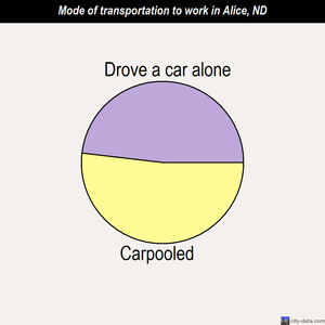 Alice mode of transportation to work chart