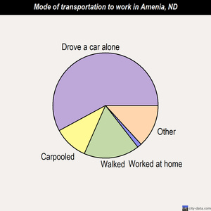 Amenia mode of transportation to work chart