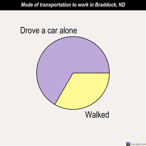 Braddock mode of transportation to work chart