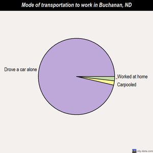 Buchanan mode of transportation to work chart