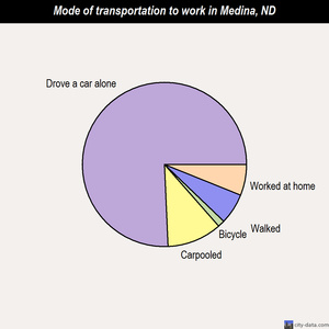 Medina mode of transportation to work chart