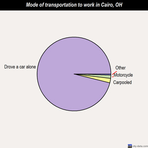 Cairo mode of transportation to work chart