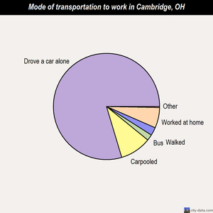 Cambridge mode of transportation to work chart
