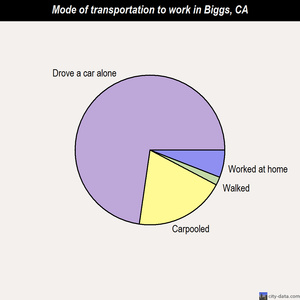 Biggs mode of transportation to work chart