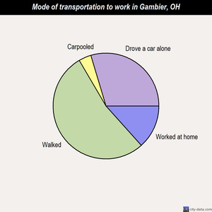 Gambier mode of transportation to work chart