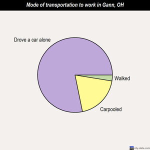 Gann mode of transportation to work chart