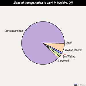 Madeira mode of transportation to work chart