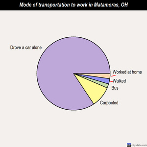 Matamoras mode of transportation to work chart