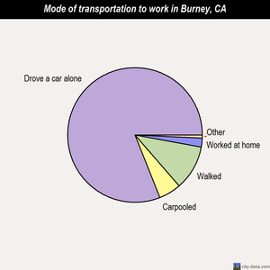 Burney mode of transportation to work chart
