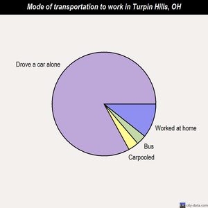 Turpin Hills mode of transportation to work chart