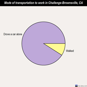 Challenge-Brownsville mode of transportation to work chart