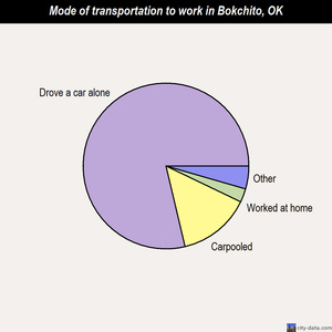 Bokchito mode of transportation to work chart