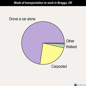 Braggs mode of transportation to work chart