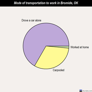Bromide mode of transportation to work chart