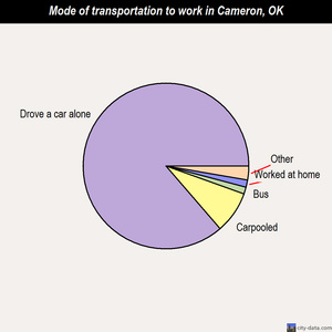 Cameron mode of transportation to work chart