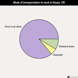 Keyes mode of transportation to work chart