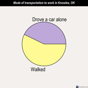 Knowles mode of transportation to work chart