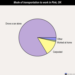 Pink mode of transportation to work chart