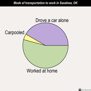 Sasakwa mode of transportation to work chart