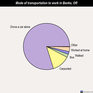 Banks mode of transportation to work chart