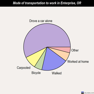 Enterprise mode of transportation to work chart