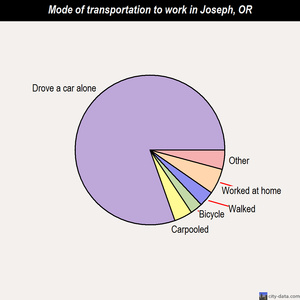 Joseph mode of transportation to work chart