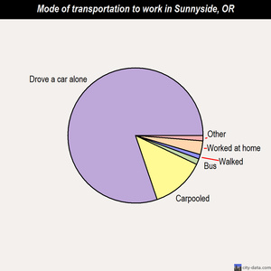 Sunnyside mode of transportation to work chart