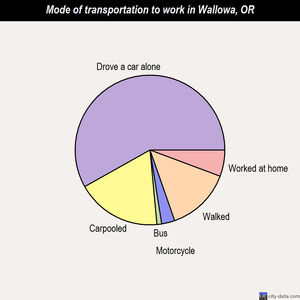 Wallowa mode of transportation to work chart