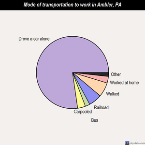 Ambler mode of transportation to work chart