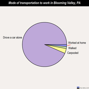 Blooming Valley mode of transportation to work chart