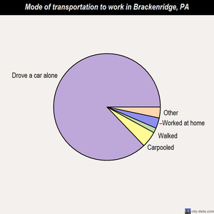 Brackenridge mode of transportation to work chart