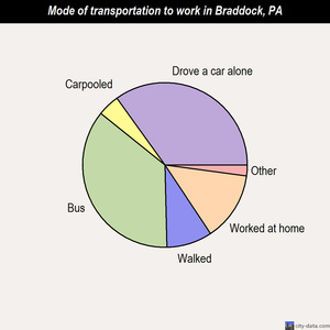 Braddock mode of transportation to work chart