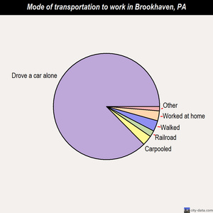Brookhaven mode of transportation to work chart