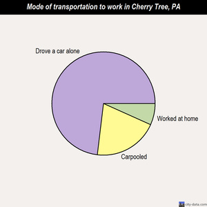 Cherry Tree mode of transportation to work chart