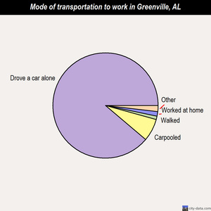Greenville mode of transportation to work chart