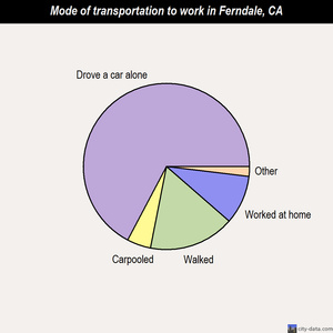 Ferndale mode of transportation to work chart
