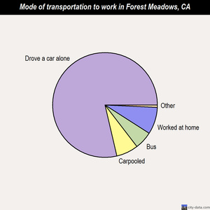 Forest Meadows mode of transportation to work chart