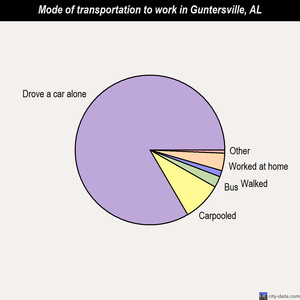 Guntersville mode of transportation to work chart