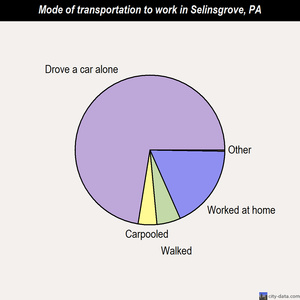 Selinsgrove mode of transportation to work chart