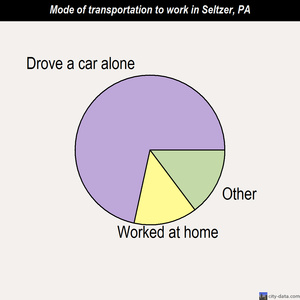 Seltzer mode of transportation to work chart