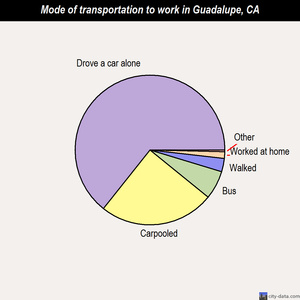 Guadalupe mode of transportation to work chart