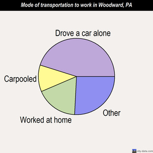 Woodward mode of transportation to work chart