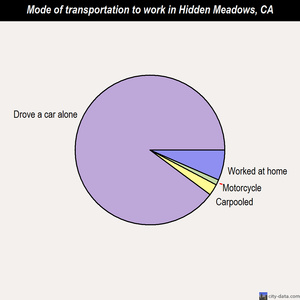Hidden Meadows mode of transportation to work chart