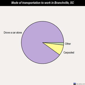 Branchville mode of transportation to work chart
