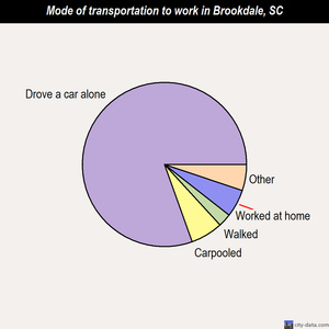 Brookdale mode of transportation to work chart